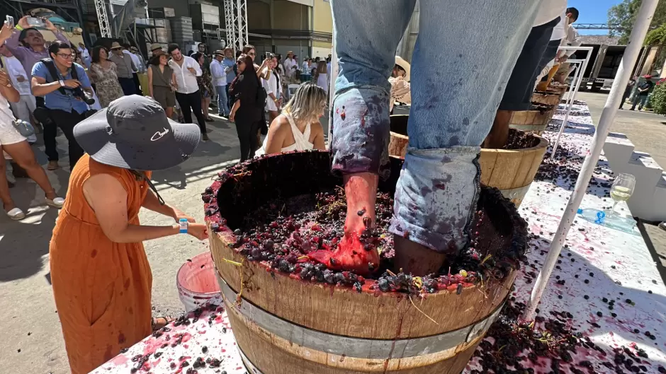 Fiesta de la vendimia de Valle de Guadalupe