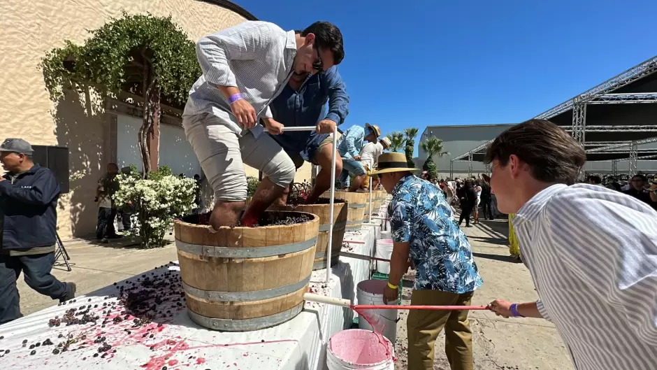 Fiesta de la vendimia de Valle de Guadalupe