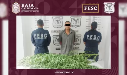 Detenido con marihuana