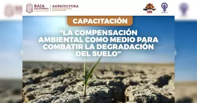 Prcticas para el mejoramiento del suelo agrcola