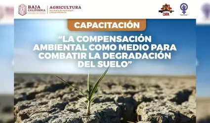 Prcticas para el mejoramiento del suelo agrcola