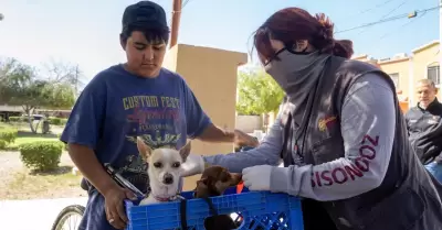 Exhorta Secretar�a de Salud a cuidar de las mascotas del hogar