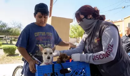 Exhorta Secretar�a de Salud a cuidar de las mascotas del hogar