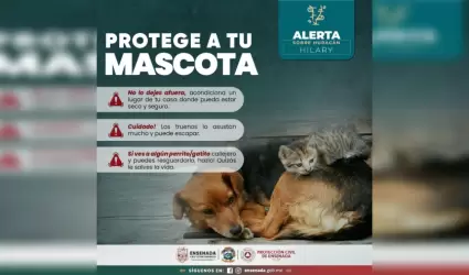 Cuidado de mascotas ante un desastre