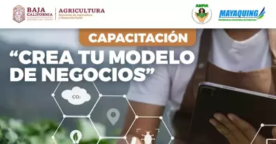 Crea tu Modelo de Negocios