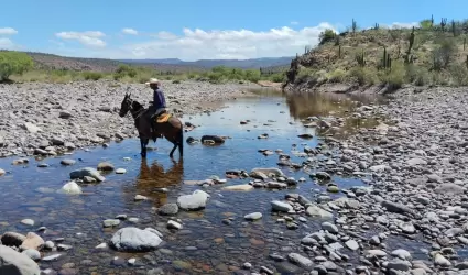 Atienden necesidades de productores de la zona sur