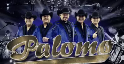 Rogelio Montes sale de Grupo Palomo.