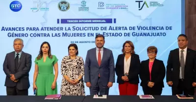 El ao pasado, cinco de cada 100 muertes violentas de mujeres se clasificaron co