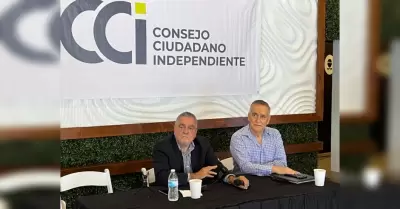 Consejo Cuidadano Independiente