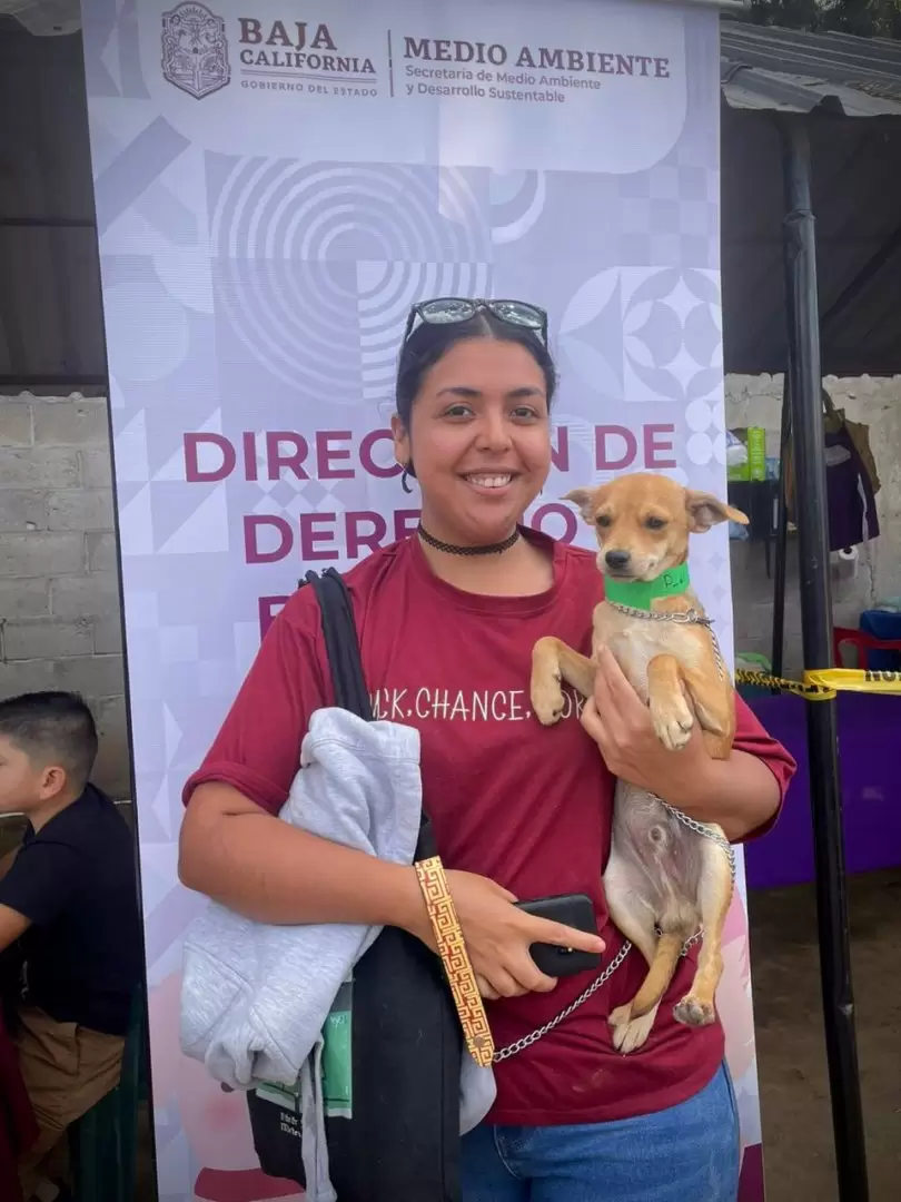 Campaa de esterilizacin para perros y gatos en Ensenada