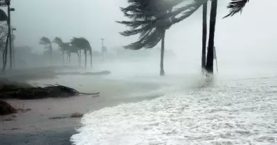 Alertan a mexicanos en Florida