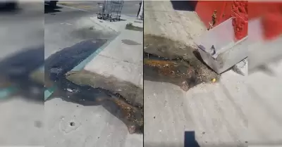 Denuncian derrame de aguas negras en Zona Centro