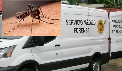 Dengue