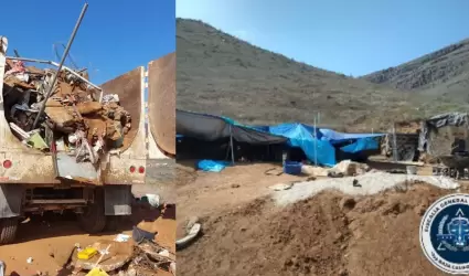 Inicia FGE investigaci�n por da�o en propiedad ajena, maltrato animal y robo, re