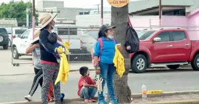 Unen esfuerzos para combatir la mendicidad infantil en la regi�n
