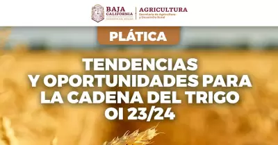 Pltica "Tendencias y Oportunidades para la Cadena del Trigo Otoo-Invierno 23/2