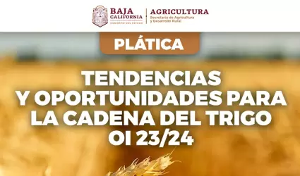 Pltica "Tendencias y Oportunidades para la Cadena del Trigo Otoo-Invierno 23/2