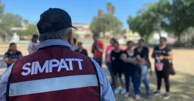 A trav�s de sembrando vida ayuntamiento contin�a forestando Tijuana