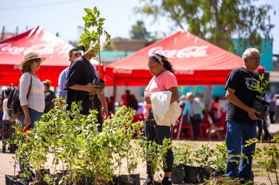 Incrementan reas verdes en Tijuana