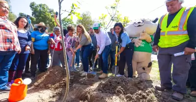 Incrementan reas verdes en Tijuana