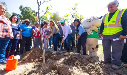 Incrementan reas verdes en Tijuana