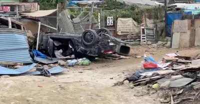 Cuatro perritos de refugio quedan lesionados tras volcadura de vehculo en colon