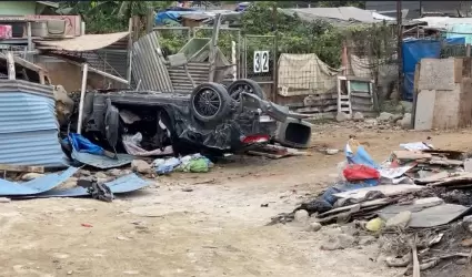 Cuatro perritos de refugio quedan lesionados tras volcadura de vehculo en colon