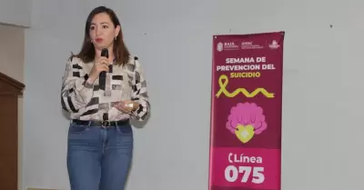 Directora de Prevenci�n y Promoci�n de Salud Mental del IPEBC, Ana Luisa Zatarai