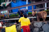 Colillas de cigarro, mayor contaminante en playas de Tijuana: Activistas