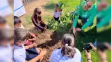 Escuelas verdes