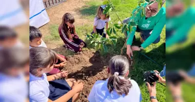 Escuelas verdes