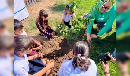 Escuelas verdes