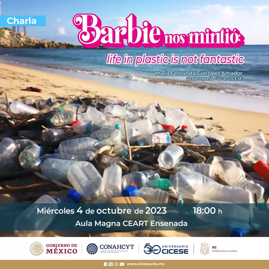 Barbie nos minti: life in plastic is not fantastic