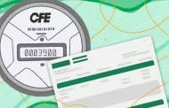 Cundo termina el subsidio de CFE?