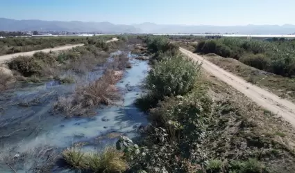 Aguas negras