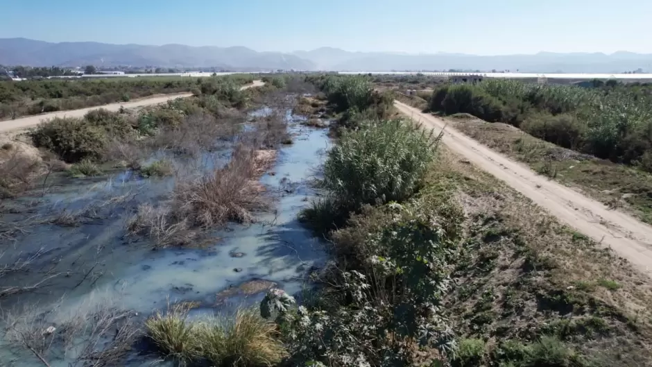 Aguas negras