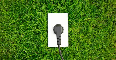 Desperdicio de Energía: Contribuyendo a la aparición de plagas y alteraciones en