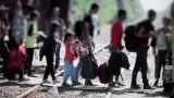Migrantes