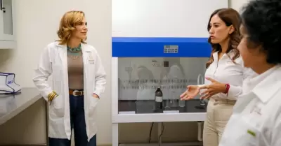 Actividades agrcolas