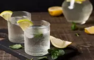 Prepara estas refrescantes bebidas con vodka