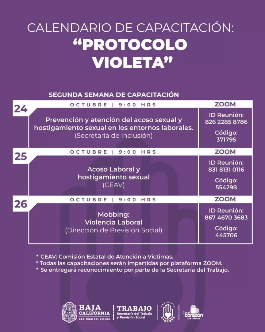 Protocolo Violeta