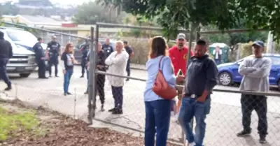 Atiende Ecolog�a Municipal denuncia ciudadana y evita trasplante de �rboles en p