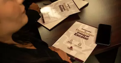 Protocolos de Proteccin Integral Escolar