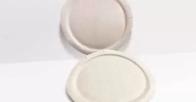 Platos hechos de semilla de mango
