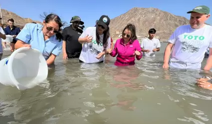 Ceremonia de liberacin de totoaba macdonaldi 2023