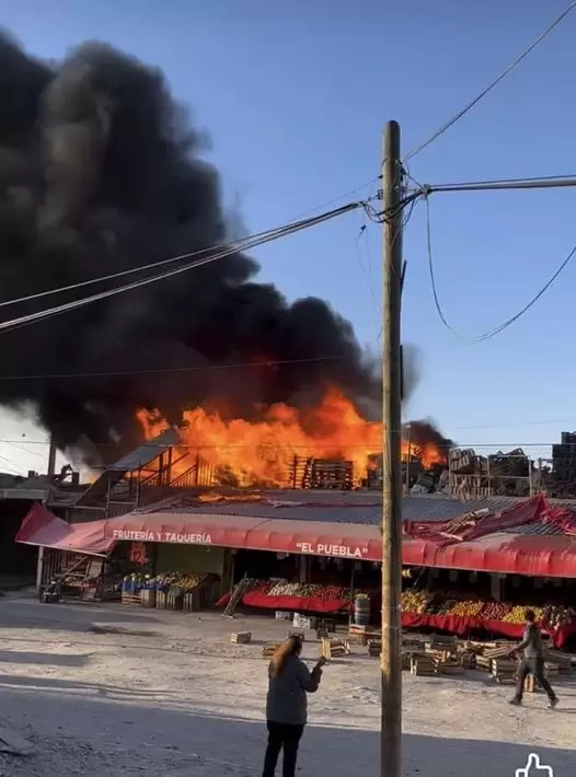 Incendio de frutera