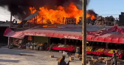 Incendio de frutera