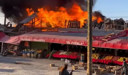 Incendio de frutera