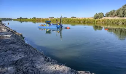 Avanza SEPROA con los trabajos de mantenimiento en el Valle de Mexicali