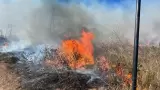Incendio en zona de pastizal en Santa Anita